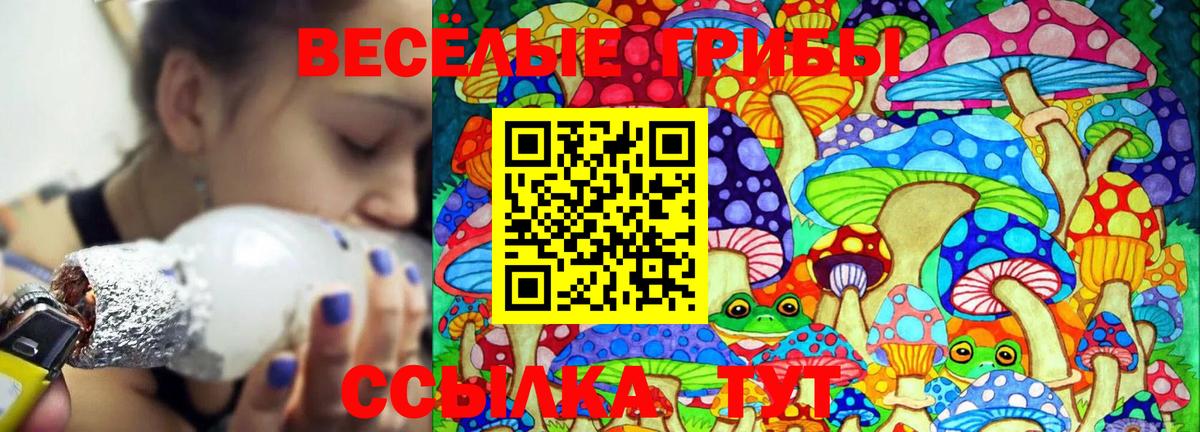 Псилоцибиновые грибы Cubensis Алексеевка